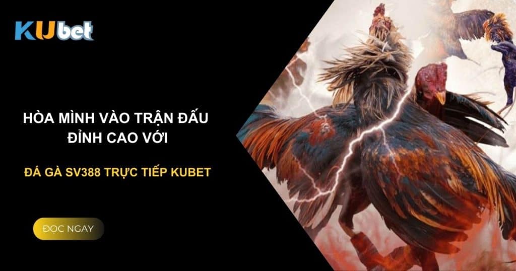 Hòa mình vào trận đấu đỉnh cao với đá gà SV388 trực tiếp Kubet